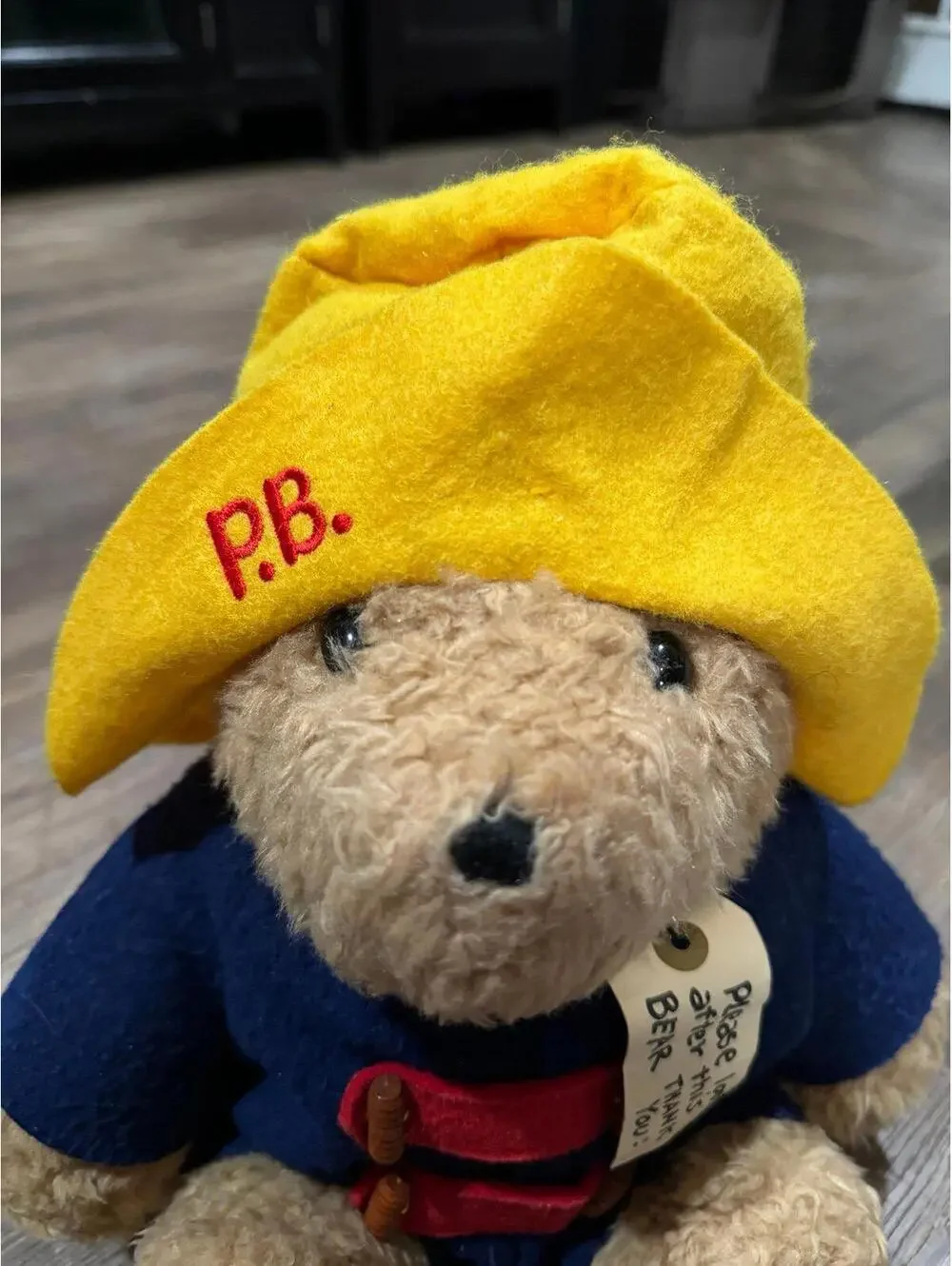 Paddington Bear Stuffed animal by Eden Toys 15”